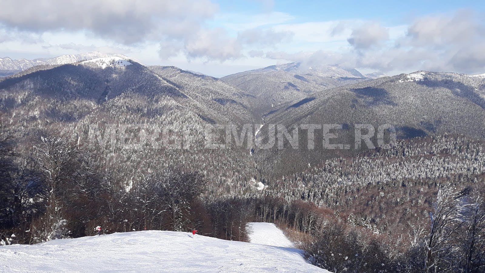 Snowboard Azuga 2019 - Partia Sorica